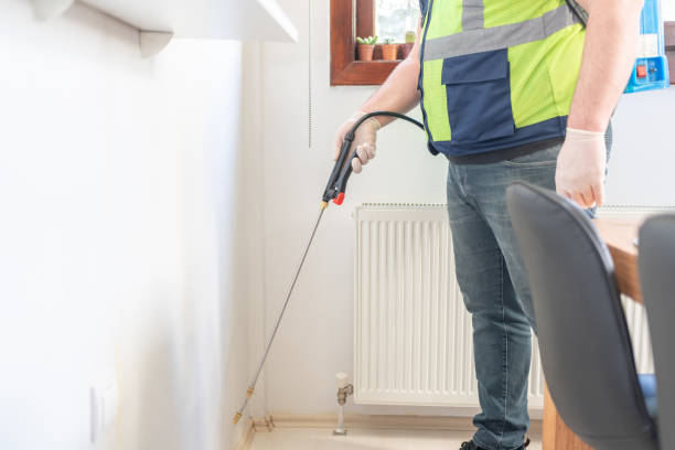 Best Flea Control Services  in Nicholasville, KY